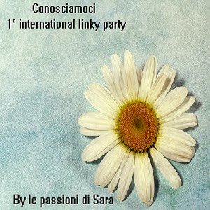 Le mie giustificazioni e...1° International Linky Party by Le passioni di Sara
